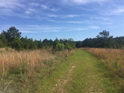 Farm and Ranch in Baldwin County, Alabama