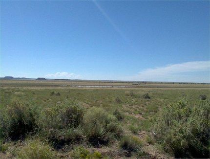 Undeveloped Land in Navajo County, Arizona