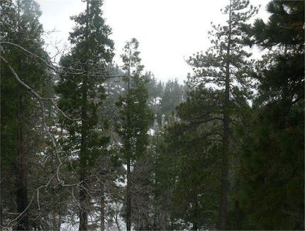 Undeveloped Land in San Bernardino County, California