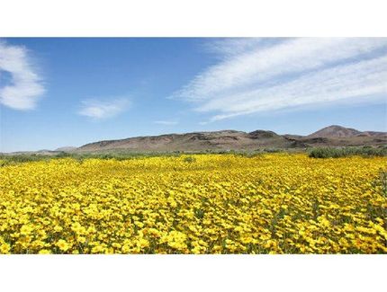 Recreational Property in San Bernardino County, California