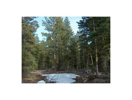 Undeveloped Land in Modoc County, California