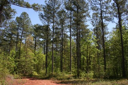 Recreational Property in Monroe County, Georgia