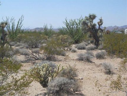 Homesite in Mohave County, Arizona
