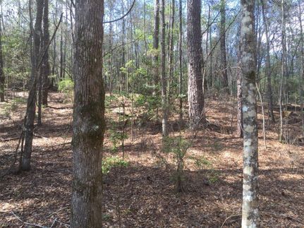 Recreational Property in Pike County, Alabama
