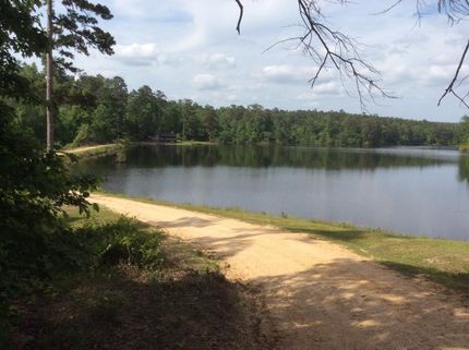 Timberland Property in Smith County, Mississippi