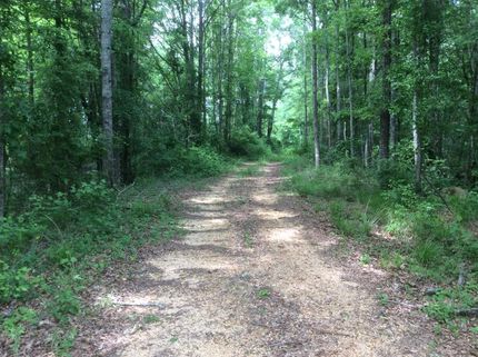 Timberland Property in Smith County, Mississippi