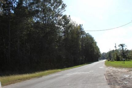 Undeveloped Land in Jasper County, Texas