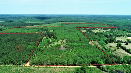 Recreational Property in Cass County, Texas