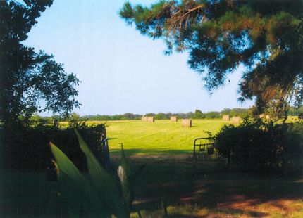Timberland Property in Austin County, Texas