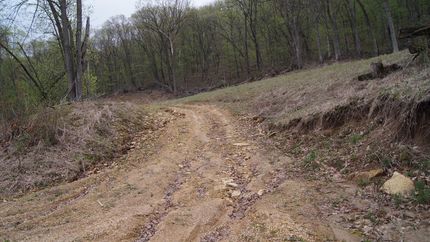 Timberland Property in Buffalo County, Wisconsin