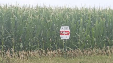 Land in Phelps County, Nebraska