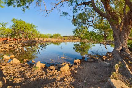 Undeveloped Land in Coke County, Texas