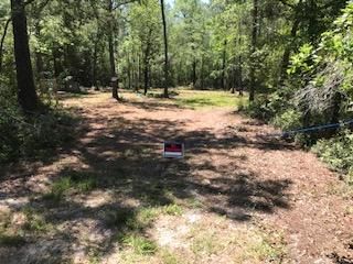 Farm and Ranch in Camden County, Georgia