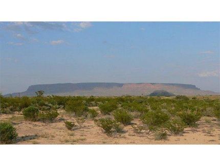 Undeveloped Land in Brewster County, Texas