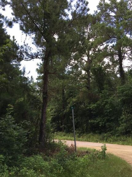 Farm and Ranch in San Jacinto County, Texas