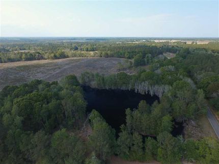 Land in Tattnall County, Georgia