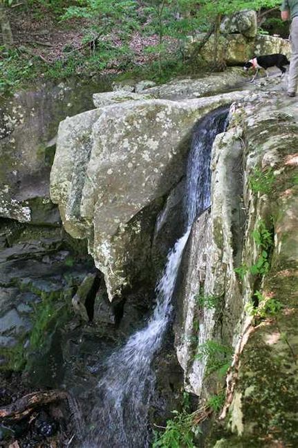 Timberland Property in Newton County, Arkansas