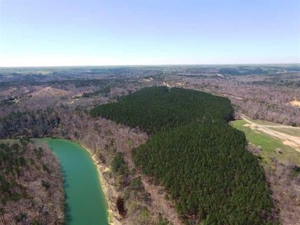 Waterfront Property in Winston County, Alabama