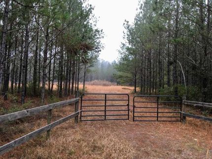 Land in Ware County, Georgia