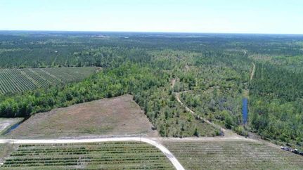 Timberland Property in Brantley County, Georgia