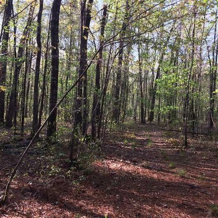 Land in Clay County, Mississippi