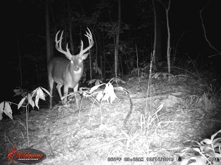 Undeveloped Land in Phillips County, Arkansas