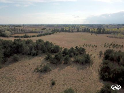 Farm and Ranch in Becker County, Minnesota