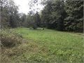 Farm and Ranch in Greenwood County, South Carolina