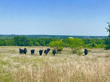 Land in Erath County, Texas