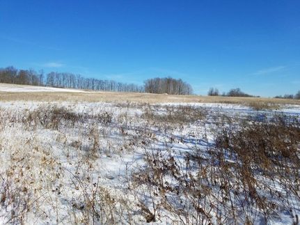 Undeveloped Land in Allegany County, New York