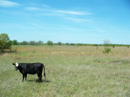 Farm and Ranch in Pawnee County, Oklahoma