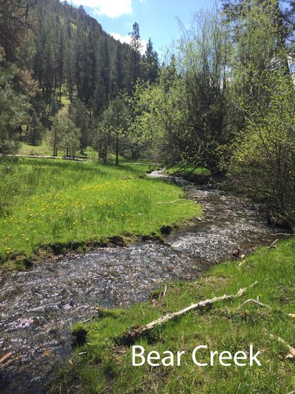 Timberland Property in Grant County, Oregon
