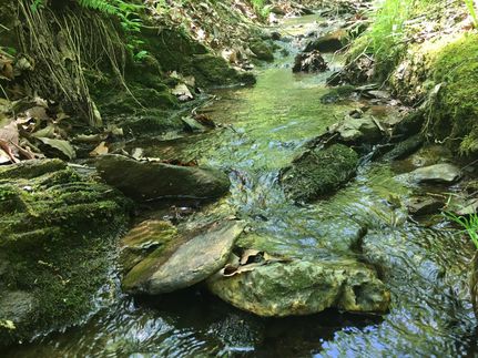 Farm and Ranch in Polk County, Georgia