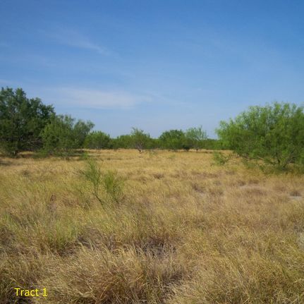 Recreational Property in Webb County, Texas