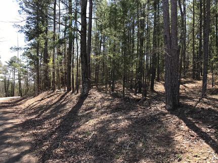 Timberland Property in Morris County, Texas