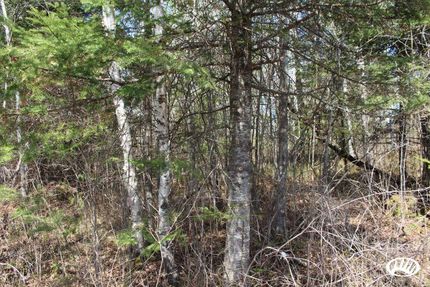 Land in Aitkin County, Minnesota