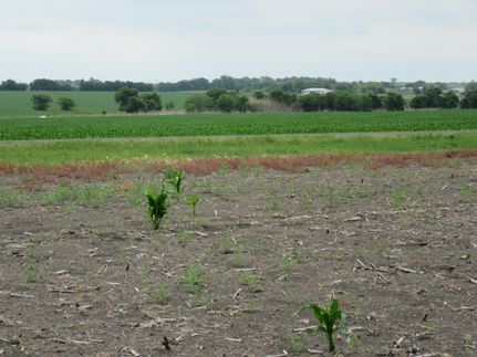 Undeveloped Land in Bell County, Texas