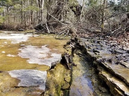 Farm and Ranch in Texas County, Missouri