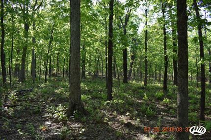 Farm and Ranch in Searcy County, Arkansas