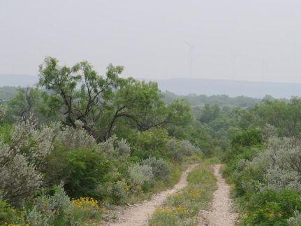 Land in Uvalde County, Texas