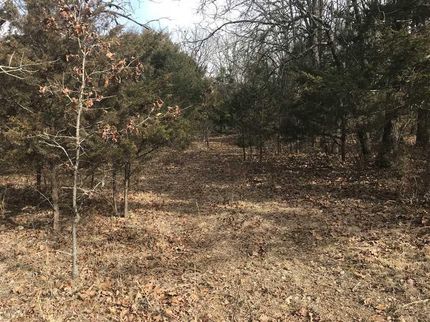 Land in Wright County, Missouri