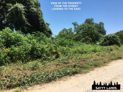 Undeveloped Land in Bastrop County, Texas