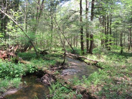 Commercial Property in Oswego County, New York