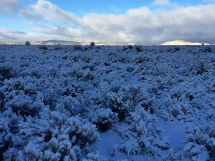 Undeveloped Land in Siskiyou County, California