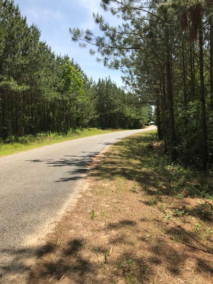 Timberland Property in Scott County, Mississippi