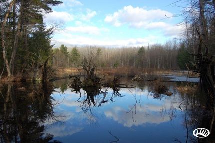 Farm and Ranch in Ogemaw County, Michigan