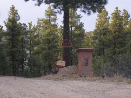 Farm and Ranch in Las Animas County, Colorado