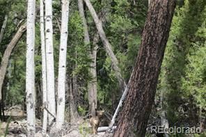 Land in Alamosa County, Colorado