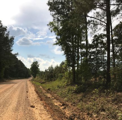 Farm and Ranch in Rankin County, Mississippi