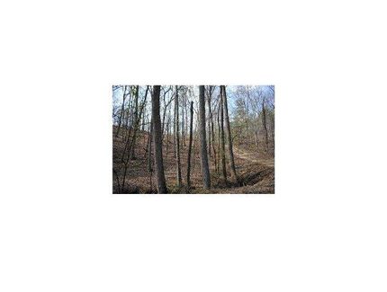 Undeveloped Land in Gilmer County, Georgia